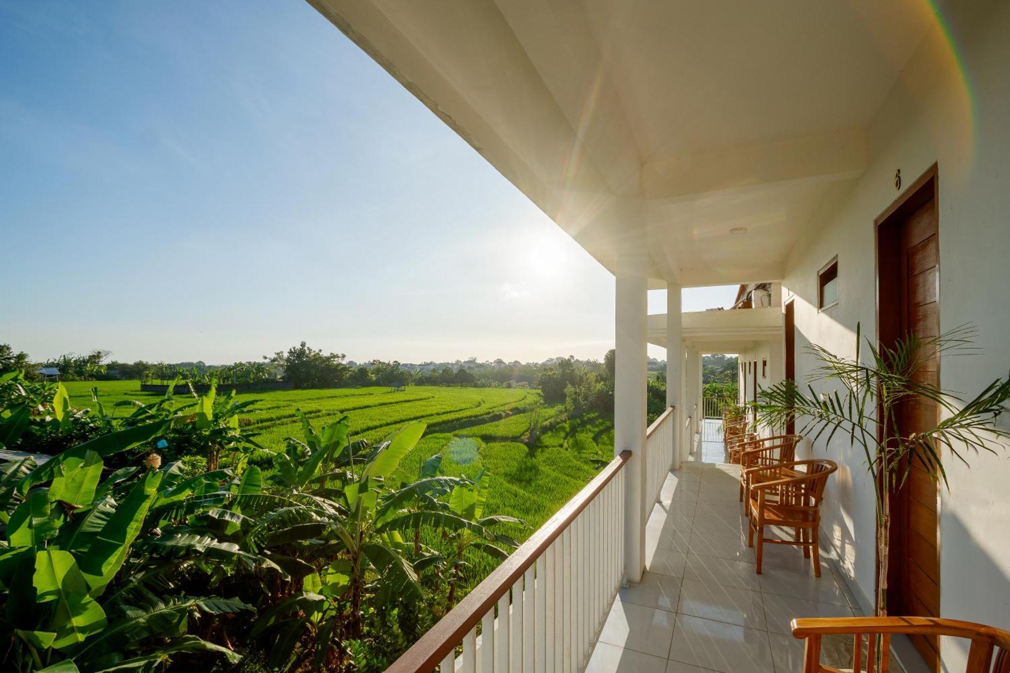 Eden Guest House Canggu Kültér fotó